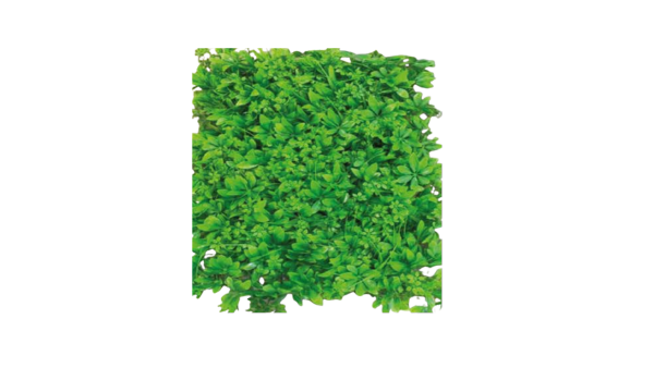 Artificial Grass